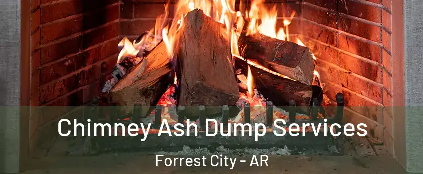  Chimney Ash Dump Services Forrest City - AR