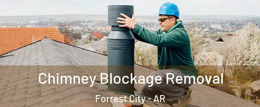  Chimney Blockage Removal Forrest City - AR