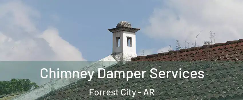  Chimney Damper Services Forrest City - AR