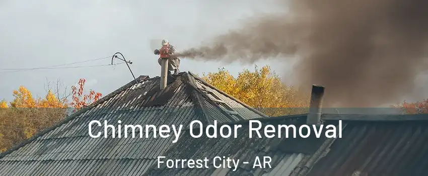  Chimney Odor Removal Forrest City - AR