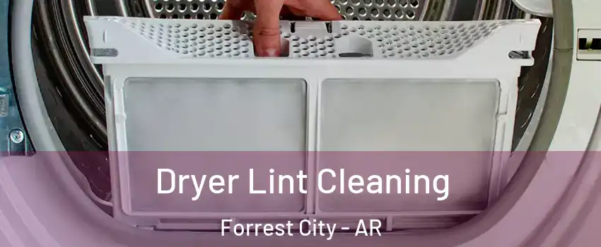  Dryer Lint Cleaning Forrest City - AR