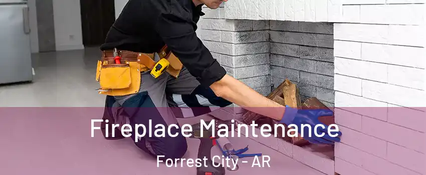  Fireplace Maintenance Forrest City - AR