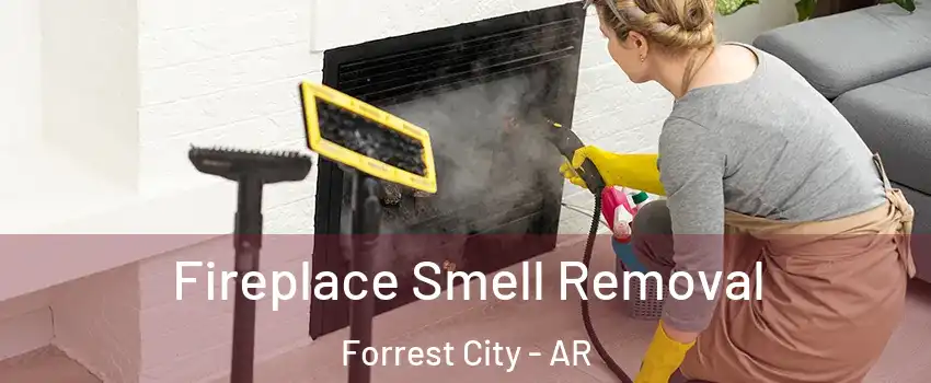  Fireplace Smell Removal Forrest City - AR