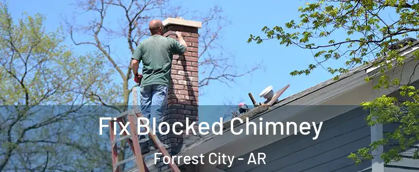  Fix Blocked Chimney Forrest City - AR