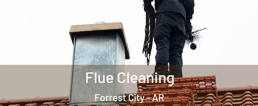  Flue Cleaning Forrest City - AR