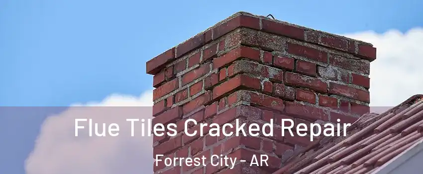  Flue Tiles Cracked Repair Forrest City - AR