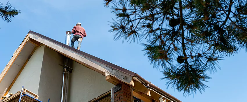 Birds Removal Contractors from Chimney in Forrest City, AR