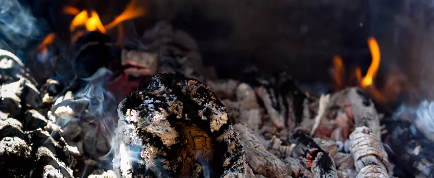 Creosote Removal Experts in Forrest City, AR