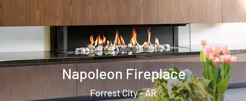  Napoleon Fireplace Forrest City - AR