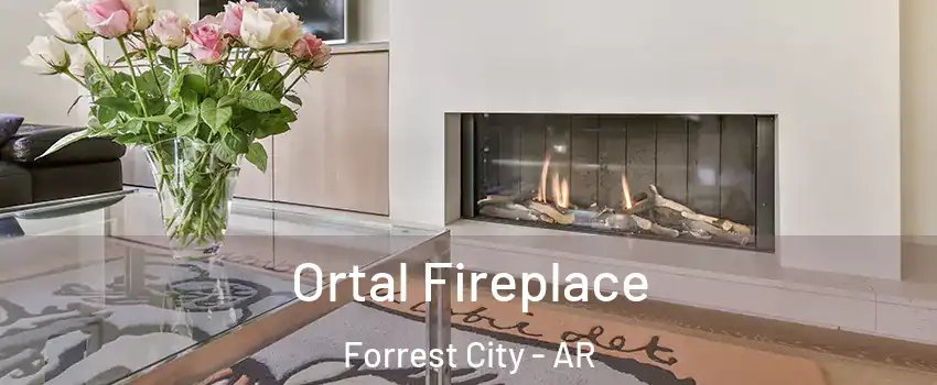  Ortal Fireplace Forrest City - AR